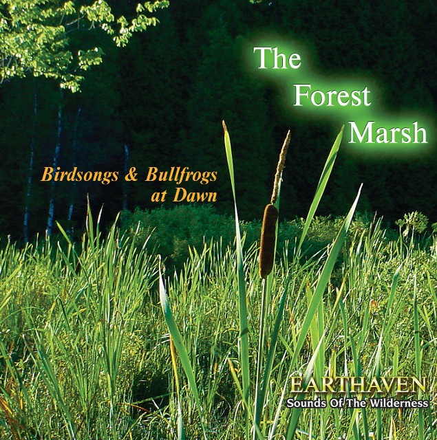 The Forest Marsh CD Cover